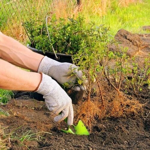 création de jardin à Besançon